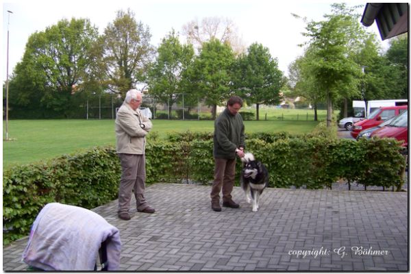 Zuchtzulassung 2010 004.JPG
